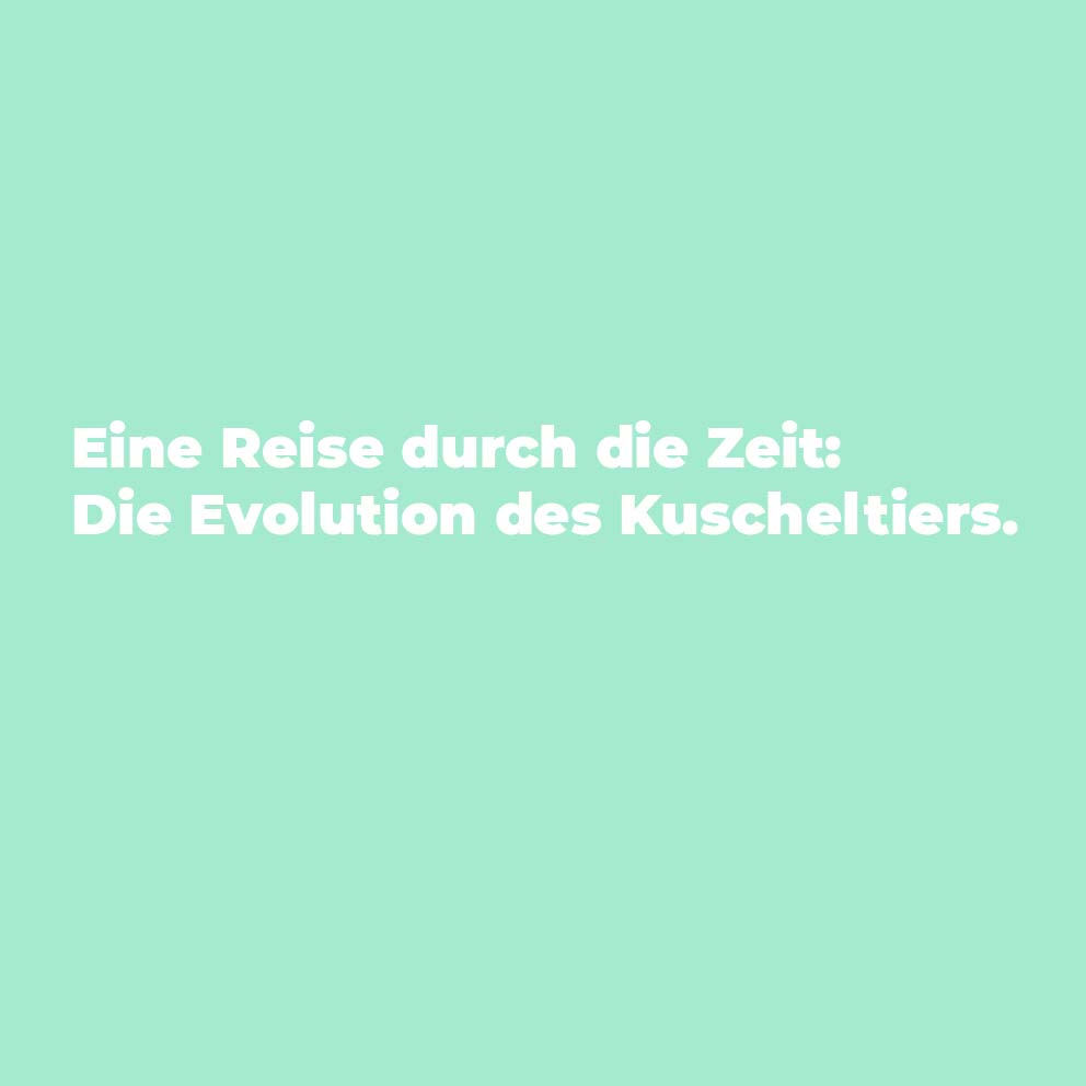 Eine Reise durch die Zeit: Die Evolution des Kuscheltiers.